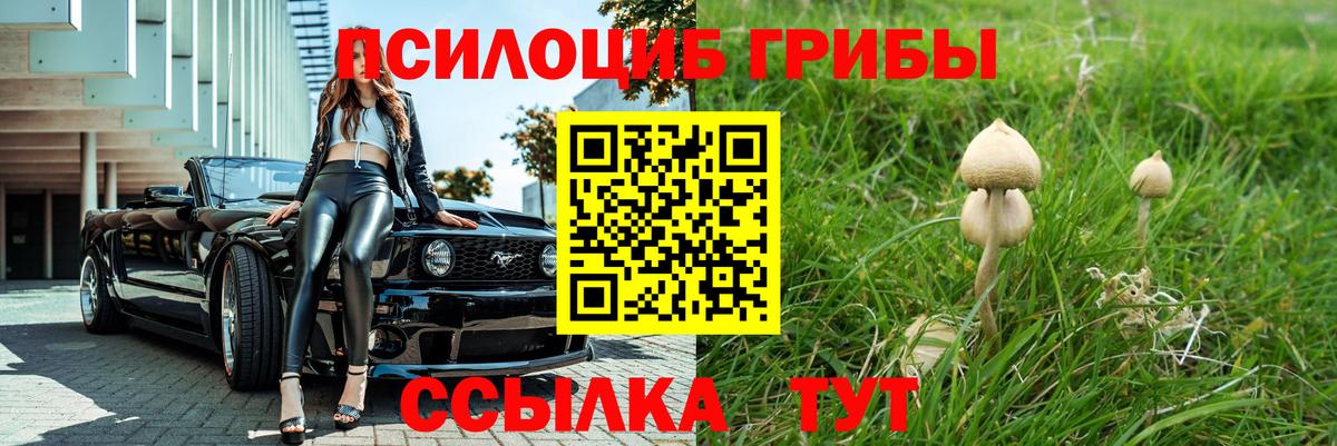 Псилоцибиновые грибы мицелий Муром